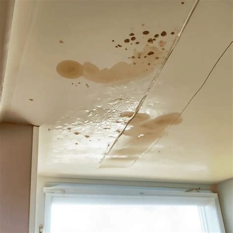 5 Causes of Water Stains on Ceilings and How to Fix。